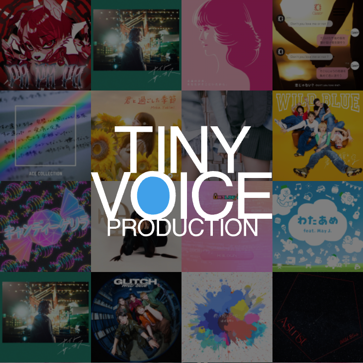 TINYVOICE PRODUCTION